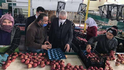 Elmanın fiyatı 700 metrede dört kat artıyor