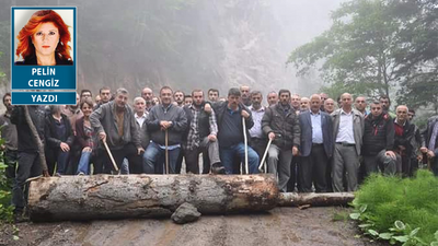 Giderek düşmanlaşan bir dünyada çevre mücadelesi