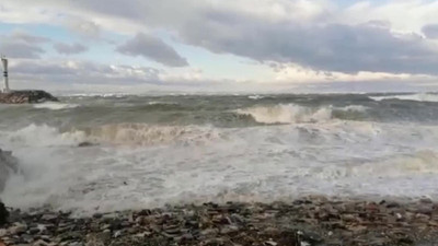 İzmir'de fırtına ağaçları kökünden söktü, evlerin çatıları uçtu