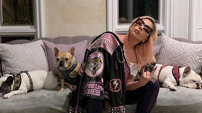 Lady Gaga'nın köpekleri çalındı: Geri getirene 500 bin dolar ödül vaat etti