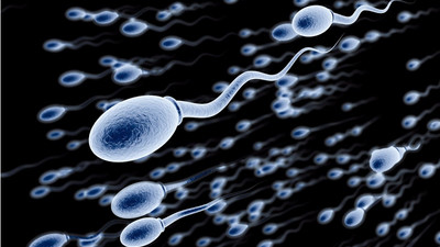 Sperm sayısındaki azalma insanlığın sonu olabilir