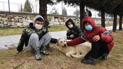 Köpeklerle oynayan 3 çocuğa tırmıkla saldıran hemşire tutuklandı