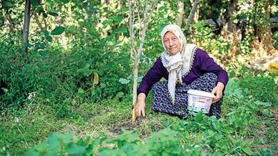 'Hele bir bostanıma gelsinler üstlerine kaynar su dökerim'