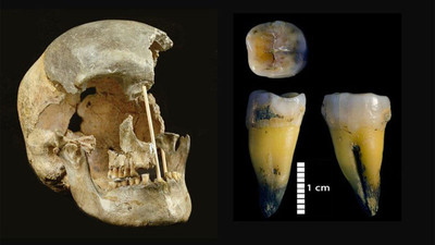 Modern insanlara ait en eski DNA bulundu