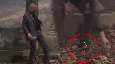 Filmde rol için yavru köpeğe işkence yapıldı