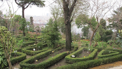 Üniversitenin botanik parkı Diyanet'in oldu