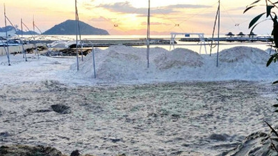 Bodrum'da, Maldivler özentisi: Kamyonlarla plaja beyaz kum taşıdılar