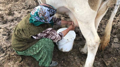 Hayvancılık sektöründeki kriz market fiyatlarına vurdu