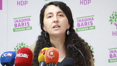 HDP'li Günay: Kürtlerin demokratik kazanımlarının tasfiyesiyle sadece Kürt siyaseti kaybetmeyecektir