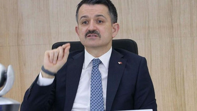 Bakan Pakdemirli: Yaz aylarında daha fazla düşüş olacak, piyasanın gazını aldık