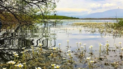 Kuzey Ege Havzası’nın önemli sulak alanlarından bir kısmı sessizce kayıtlardan silindi