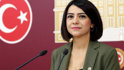 CHP'li Gamze Taşcıer'den Bakan Lütfi Elvan'a tek soruluk önerge