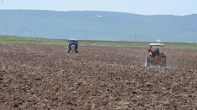 Erzurum'da kuraklık riski: Güçlü yağmur olmazsa durum vahim