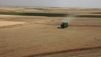 Urfa'da 2 milyon dönüm arazi hasat edilmeden sürülecek