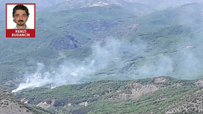 Dersim orman yangını: Sivillerin müdahale etmesine izin verilmiyor