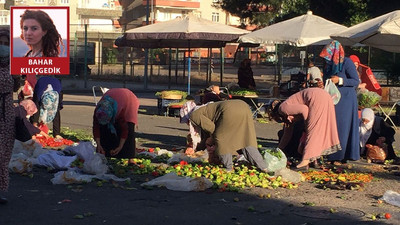 Tezgahlar kalktı yoksulluk ortaya çıktı: Alım gücü olmayan yurttaş yerden sebze meyve topladı