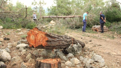 Heyelan riski olan bölgede ağaç katliamı: İkizdere’de ne oluyorsa aynısı burada oluyor