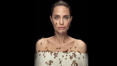 Angelina Jolie, arılar için arılarla objektif karşısına geçti