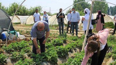 HDP’liler çilek üreticilerinin sorunlarını dinledi: Her şey pahalı oldu, değişmeyen tek şey yevmiye