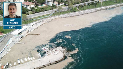 Marmara'da ekolojik bir felaket