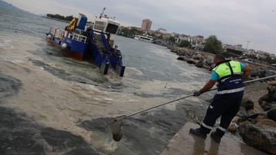 Kartal Belediyesi ve İBB deniz salyasına karşı çalışıyor: Tekrar olmayacağı anlamına gelmiyor