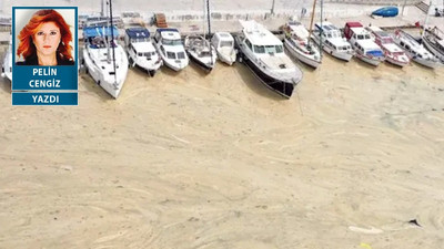 6’ncı kitlesel yok oluşun nasıl ilerlediğini görmek isteyenler, Marmara’ya bakmanız yeterli