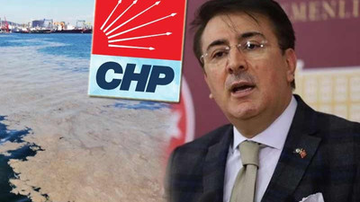 AKP'li vekil deniz salyasının sebebini açıkladı: Meymenetsizlik uğursuzluk demektir, bu CHP'yi işaret eder