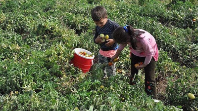 Milli Eğitim Bakanlığı Meclis'te açıkladı: Türkiye'de 720 bin çocuk çalıştırılıyor