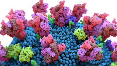 Covid-19 HIV hastasında 32 defa mutasyona uğradı