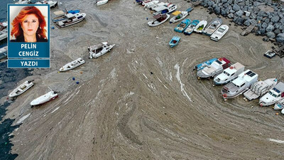 Marmara Denizi’ndeki müsilaj kirliliğinde kömürlü termik santrallerin etkisi incelenmeli