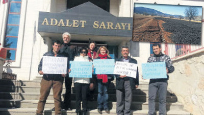 Atık maddeyi yiyen fareler 40 dakikada öldü