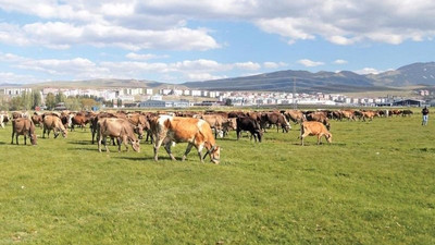 Kamuya ait arazileri vasıflarını değiştirerek satmışlar: Muhtarlar ve memurların da olduğu 30 gözaltı