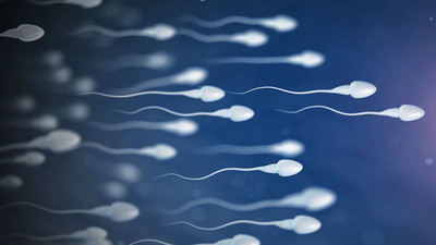 Coronavirus aşısı sperm sayısını etkilemiyor