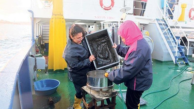 Marmara Denizi'nde hidrojen sülfür tehlikesi: Yukarıya doğru çıkıyor