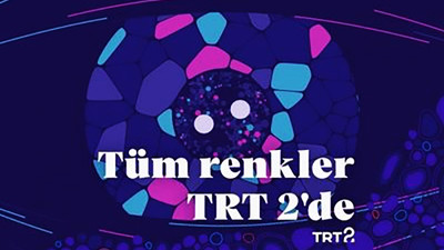 TRT, 'gökkuşağı renkleri olduğu' gerekçesiyle paylaşımını kaldırdı