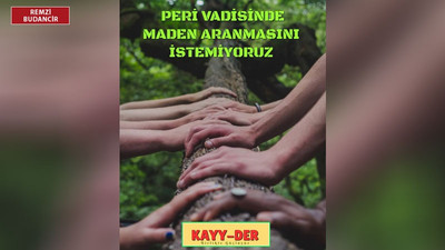 Peri Vadisi'nde doğa katliamı hazırlığı: Vadi maden sahası yapılmak isteniyor