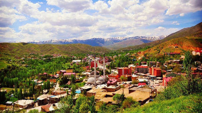 Bitlis'te sokağa çıkma yasağı