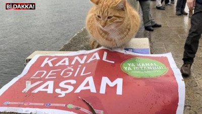 Erdoğan'ın ‘söke söke’ ifadesi üzerine konuşmalıyız...