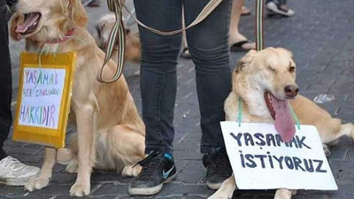 Uzun süredir beklenen 'Hayvanları Koruma Kanunu' Meclis'e getirildi