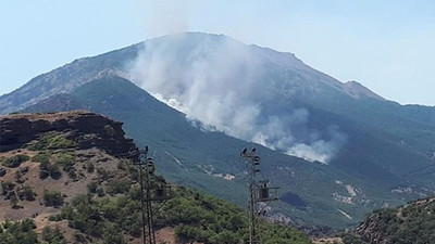 Dersim’de orman yakmak serbest söndürmek yasak