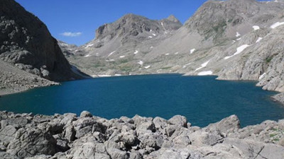 Dersim'de Çinli turiste ayı saldırısı