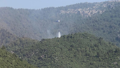 Hatay'daki yangında 200 hektar alan zarar gördü