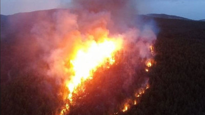 Muğla'da orman yangınıyla ilgili gözaltına alınan şüpheli tutuklandı