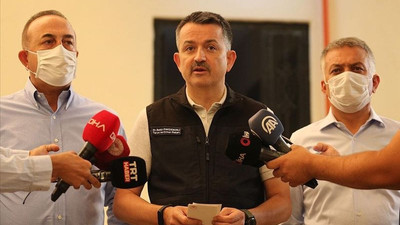 Bakan Pakdemirli: Manavgat'taki yangın kontrol altına alındı