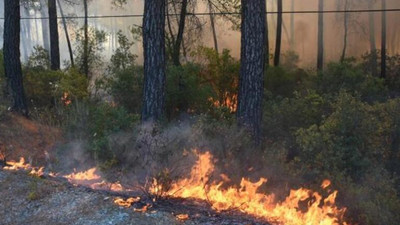 Marmaris'teki yangın nedeniyle karayolu ulaşıma kapatıldı