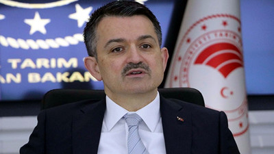 Bakan Pakdemirli orman yangınlarındaki son durumu açıkladı