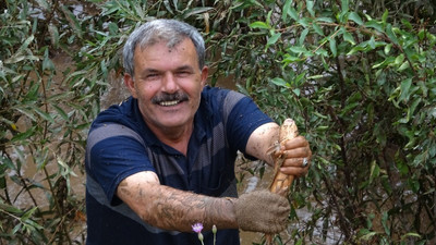 Zap Suyu taştı, binlerce balık öldü, balıkları yakalamak için yarıştılar