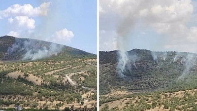 Dersim ve Diyarbakır'daki yangınlarda çok sayıda ağaç küle döndü