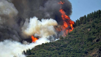 Muğla milletvekilleri yangın izlenimlerini anlattı: Ormanlarda hiçbir canlı kalmadı, müdahale çok yetersiz