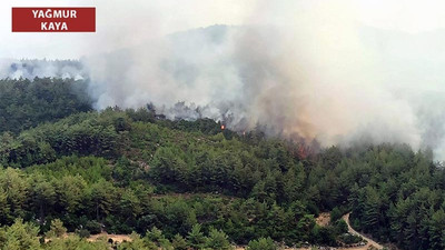 Köyceğizliler: Yangına bir tane su damlatan yok